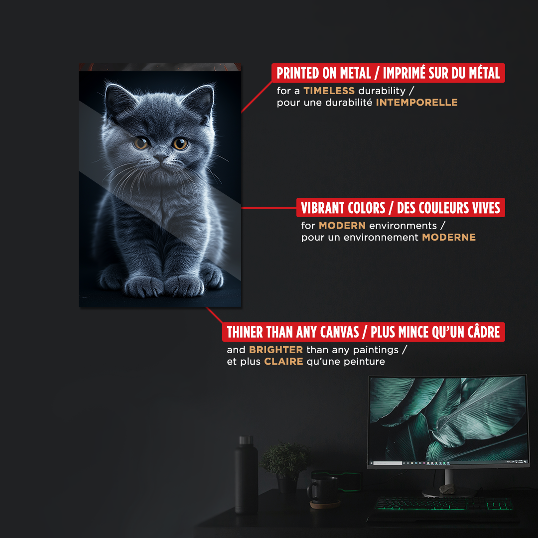 OUR COLLECTION - NATURE - Kitty of Darkness