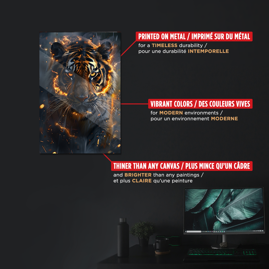 OUR COLLECTION - NATURE - Lightning Tiger