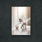 NOTRE COLLECTION - NATURE - Un adorable chaton avec une pelote de laine