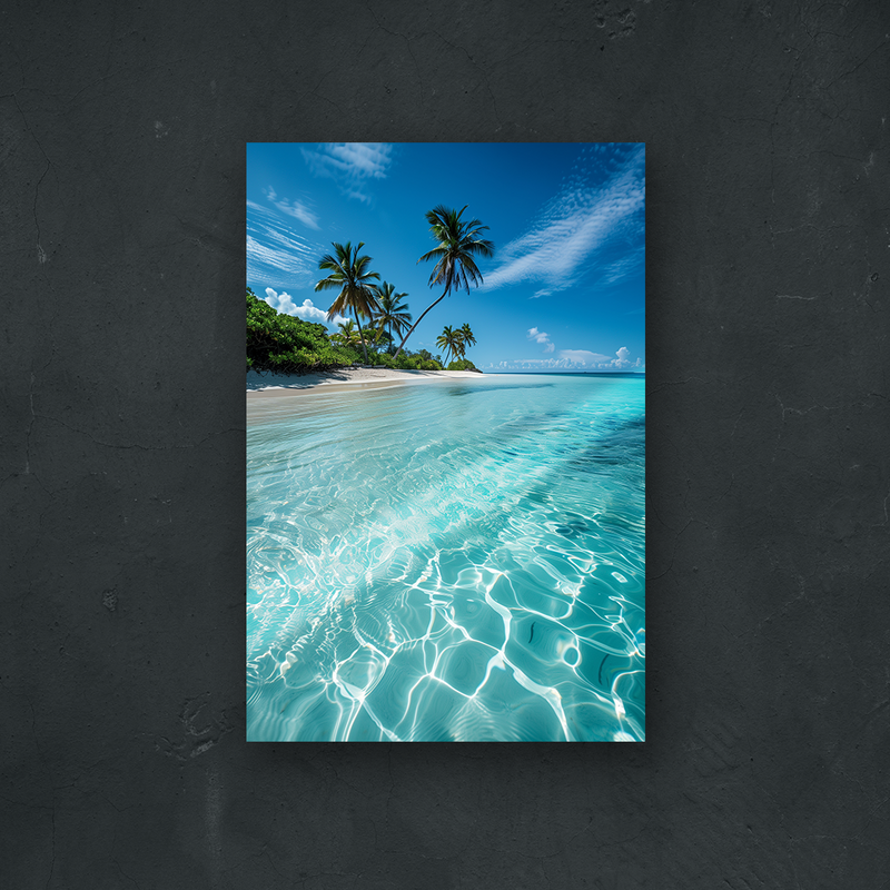 NOTRE COLLECTION - NATURE - Journée à la plage
