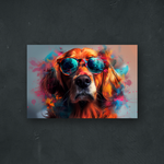 OUR COLLECTION - NATURE - Cool Dog in Your Area