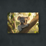 NOTRE COLLECTION - NATURE - Un Koala tout mignon