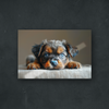 OUR COLLECTION - NATURE - An Other Sleepy Puppy