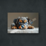 OUR COLLECTION - NATURE - An Other Sleepy Puppy